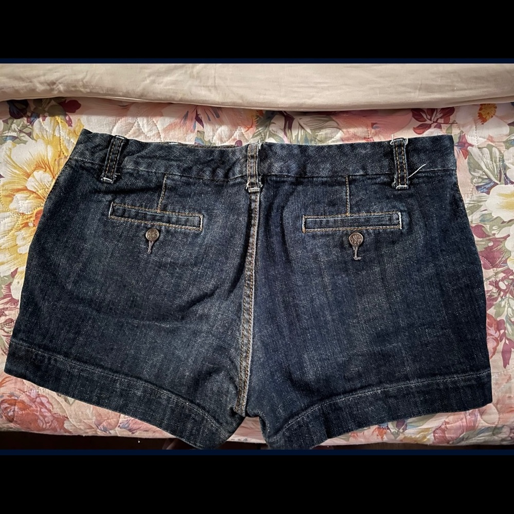 American Rag Curvy Shorts - Picture 3 of 4